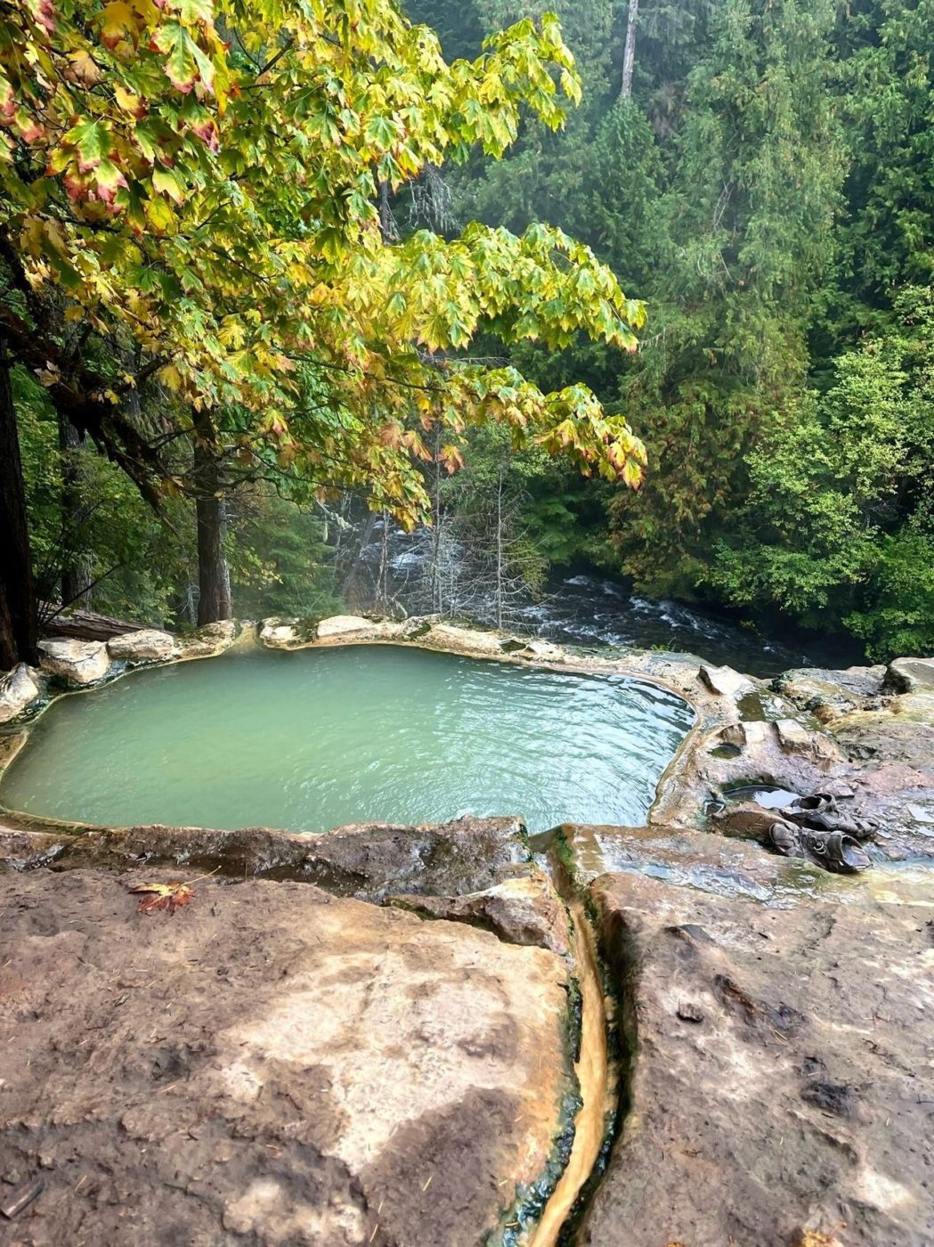 Hot Springs in Umpqua National Forest, Oregon