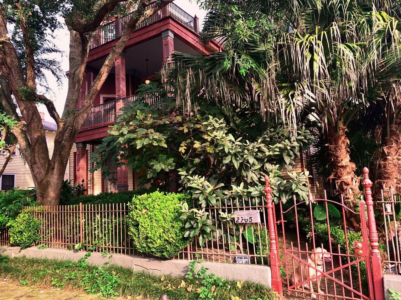 Parks-Bowman Mansion, New Orleans