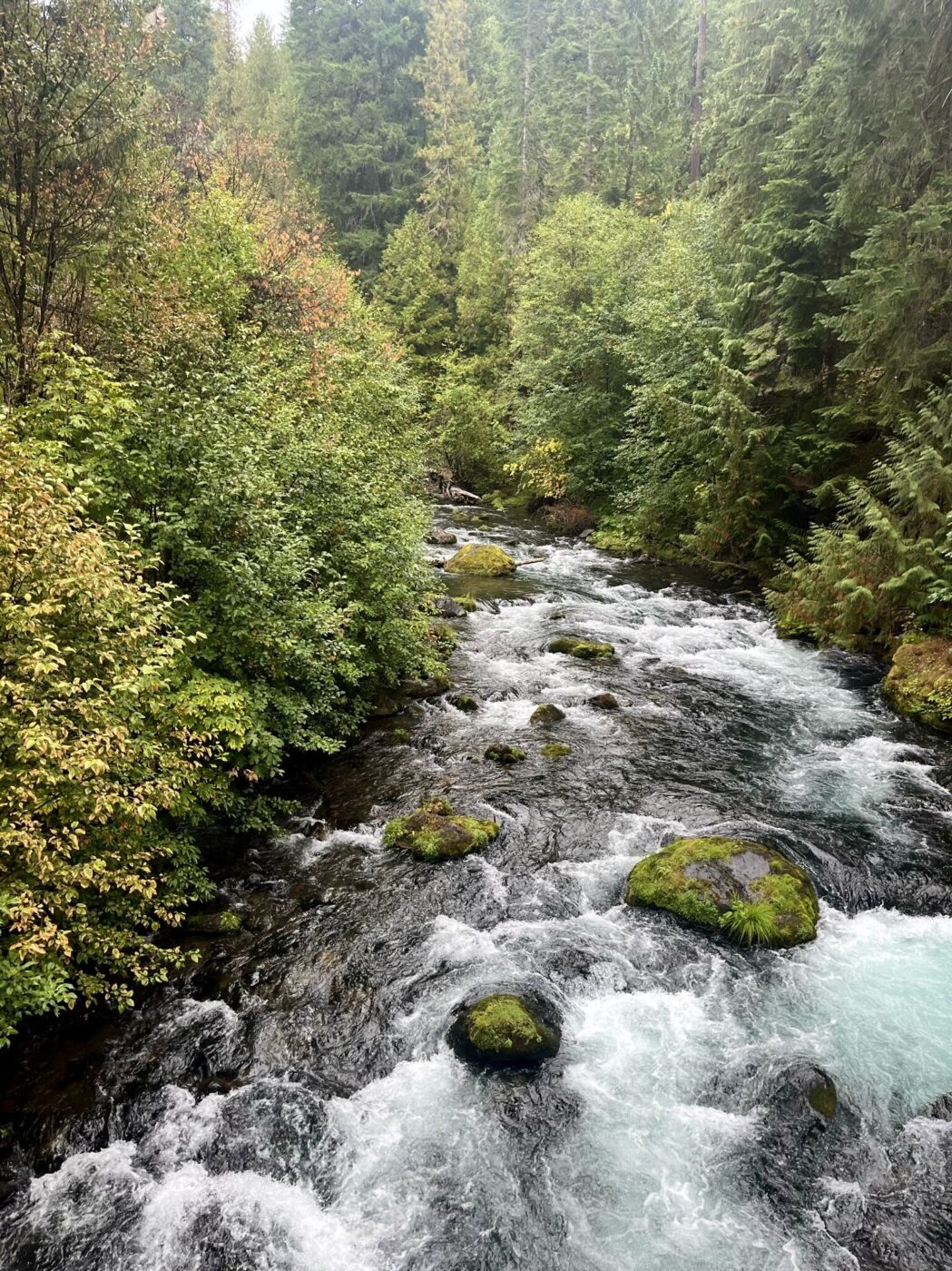 Umpqua River in Umpqua National Forest, Oregon