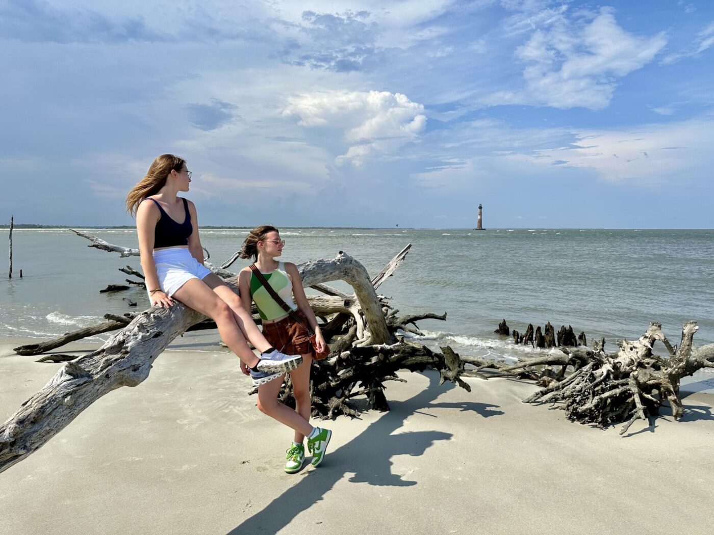 The Ulm Gals on shoreline driftwood at the Morris Lighthouse, South Carolina