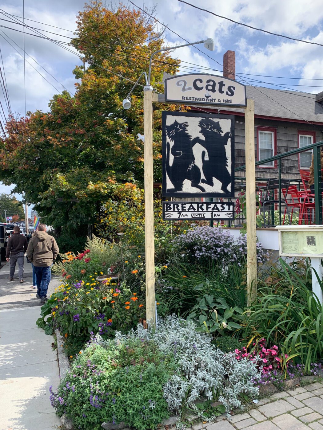 2 Cats, Bar Harbor, Maine