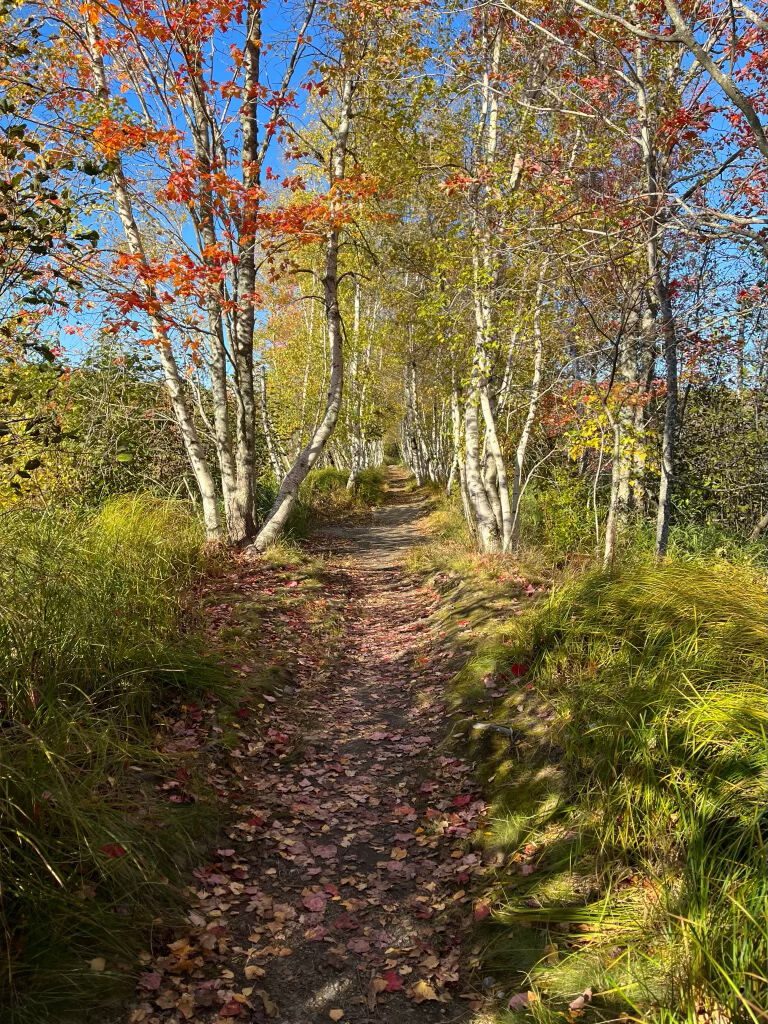 Eagle Lake, Acadia National Park, Maine