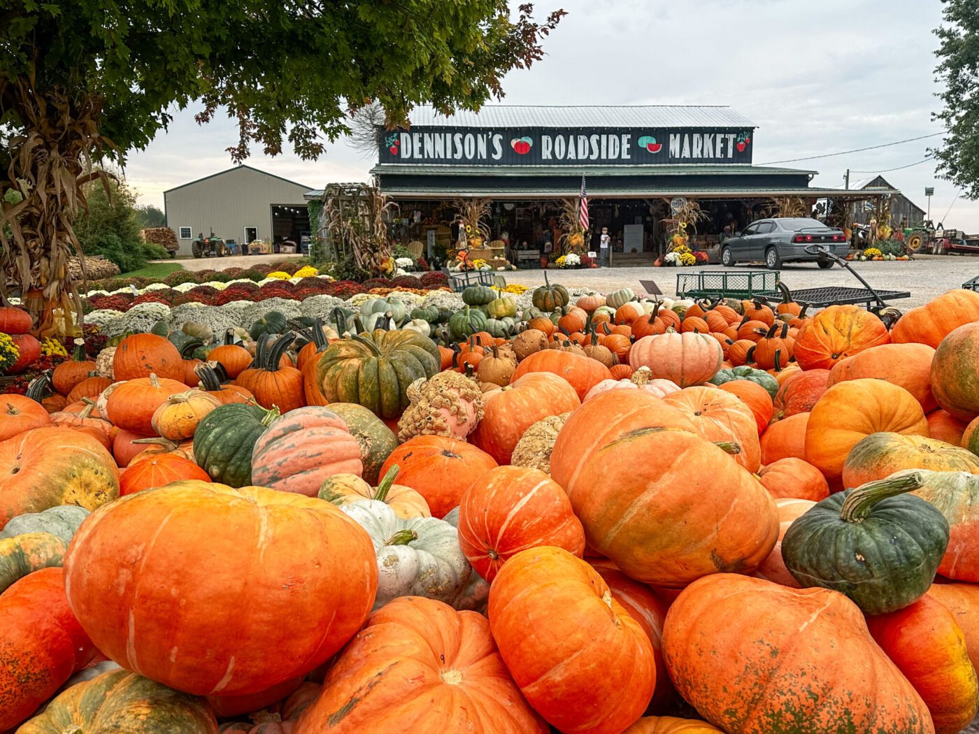 Pumpkins at Dennison's Roadside Market in Hart County, Kentucky