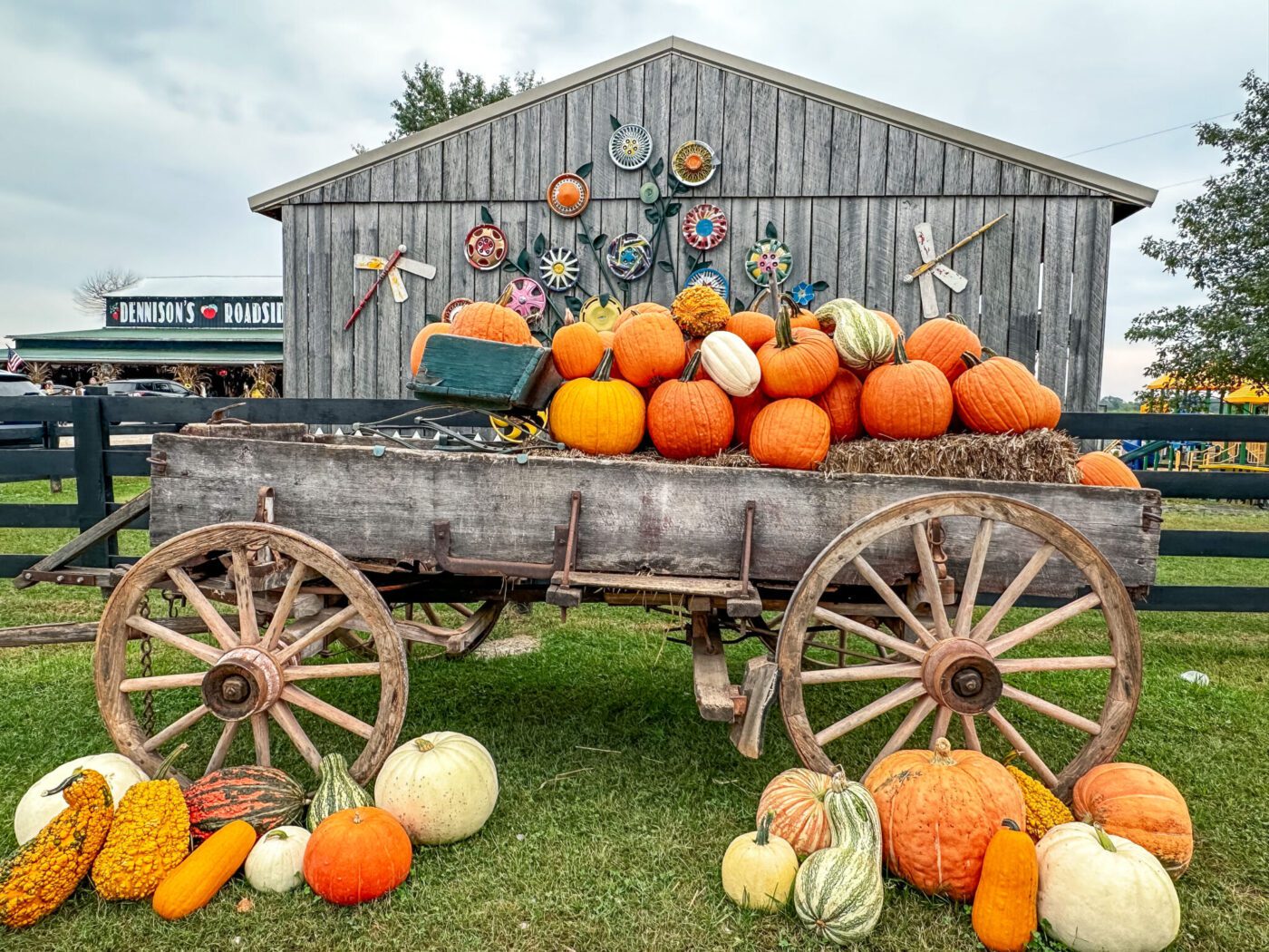 Pumpkins at Dennison's Roadside Market in Hart County, Kentucky