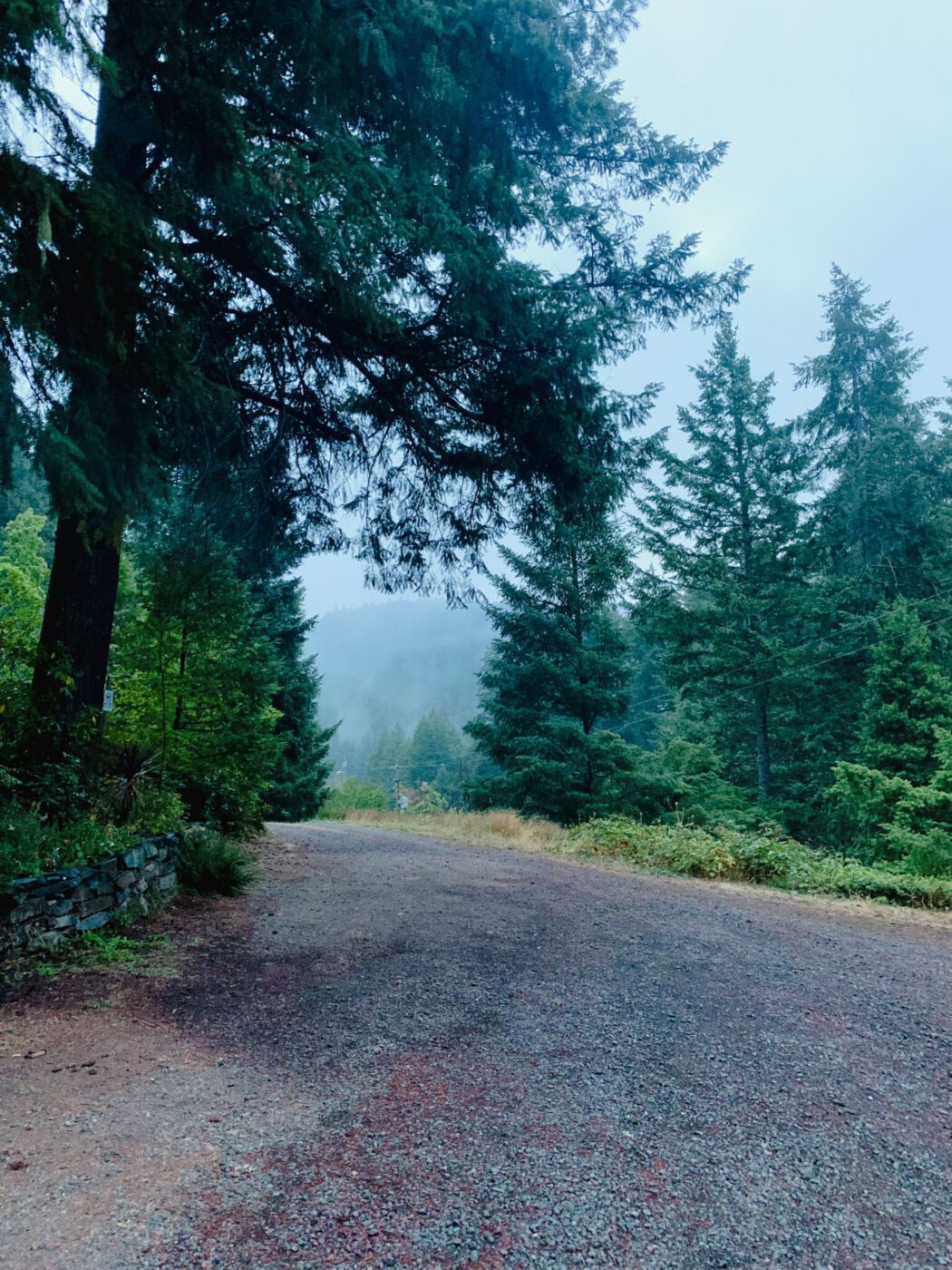 Mountain Mama Lodge in Idleyld Park, Oregon