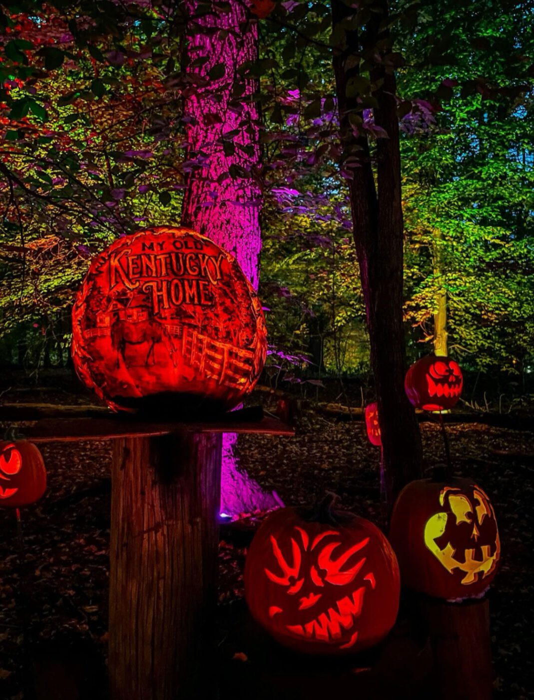 Louisville, Kentucky's Jack-o-lantern Spectacular in Iroquois Park