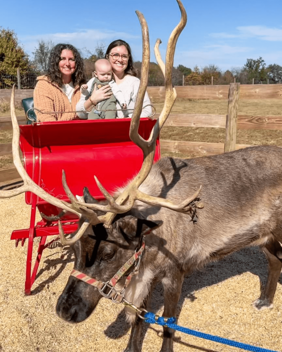 The Reindeer Farm, Bowling Green, Kentucky