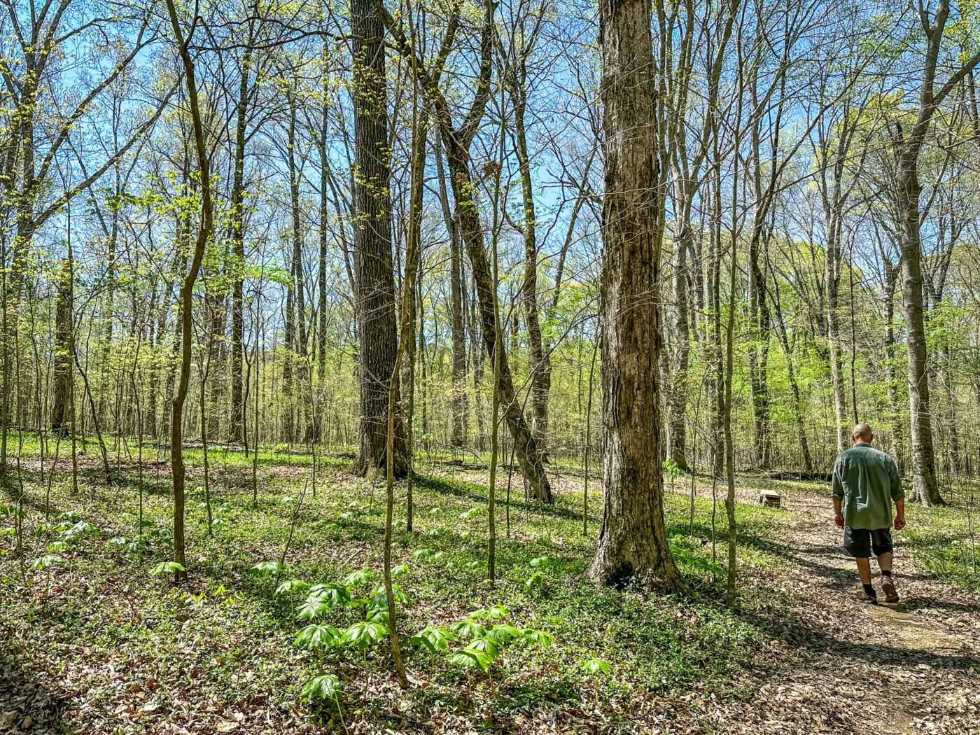 Jackson Trail at Old Mulkey Meetinghouse in Monroe County, Kentucky