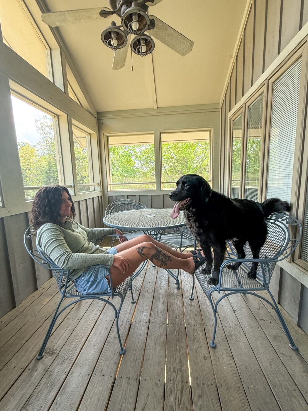 Pet-friendly lodging at Barren River Lake State Resort Park, Kentucky