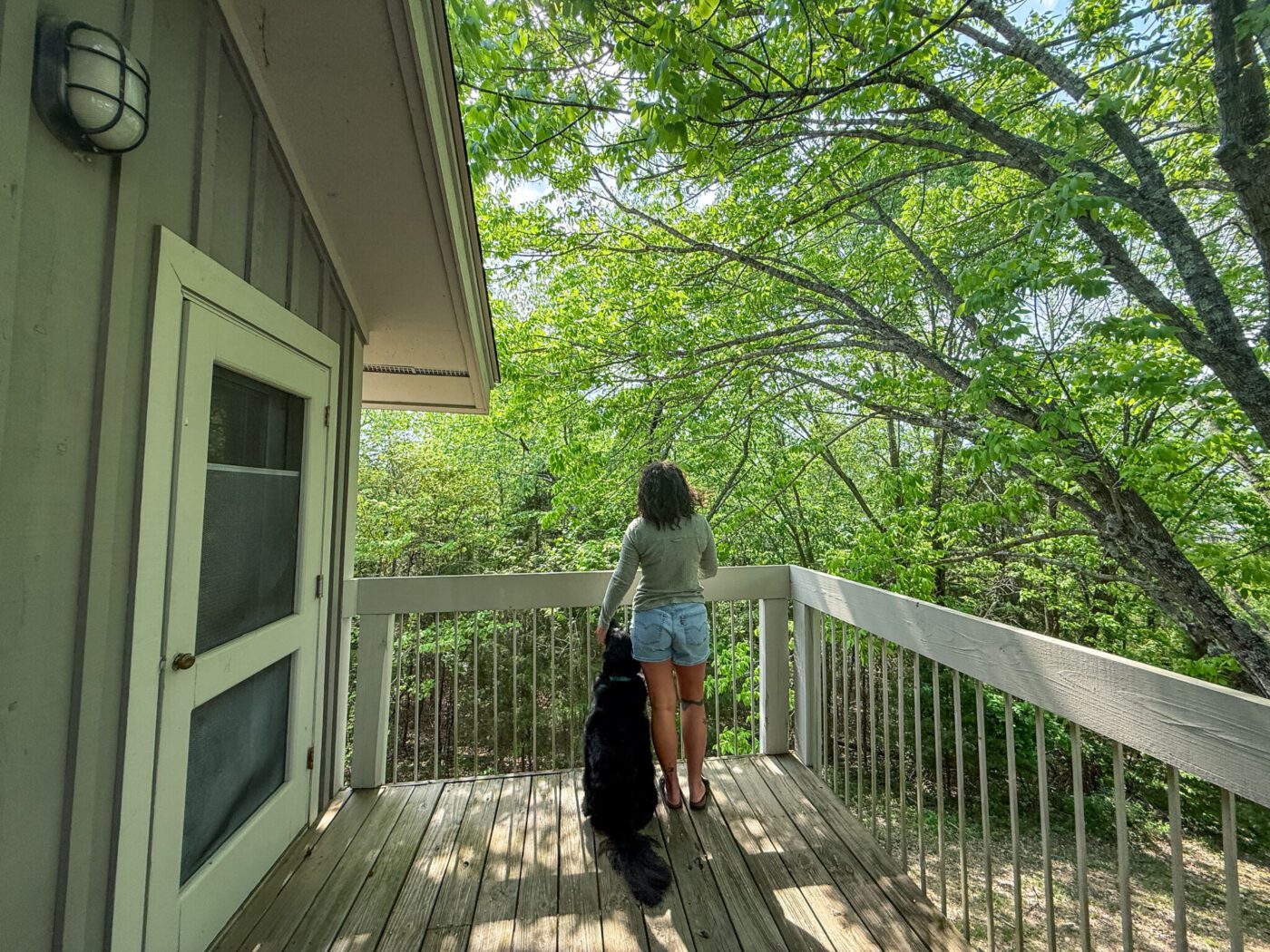 Pet-friendly lodging at Barren River Lake State Resort Park, Kentucky