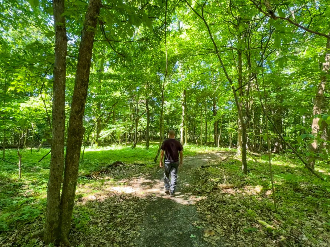Trail at Wickliffe Mounds State Historic Park, Kentucky