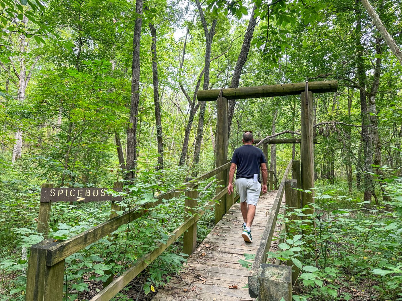 Trail at Kincaid Lake State Park, Kentucky