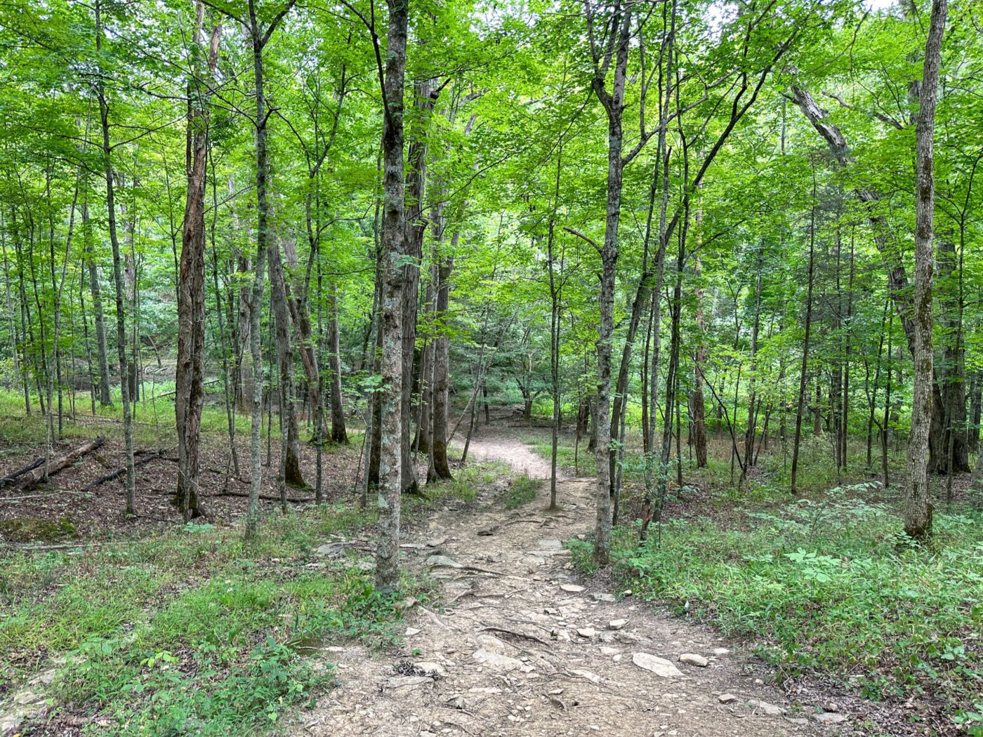 Trail at Kincaid Lake State Park, Kentucky