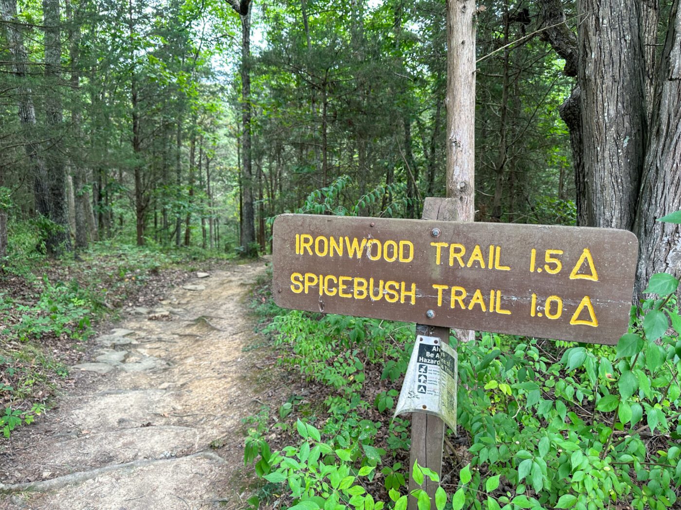 Trail at Kincaid Lake State Park, Kentucky