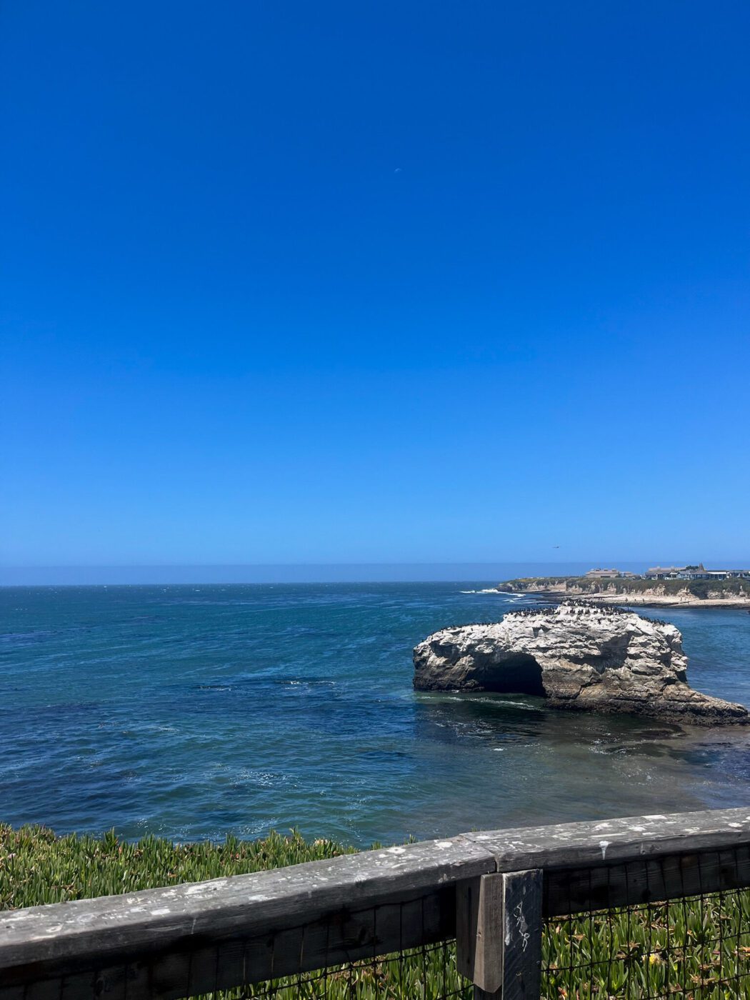 Natural Bridges State Park, Santa Cruz, California