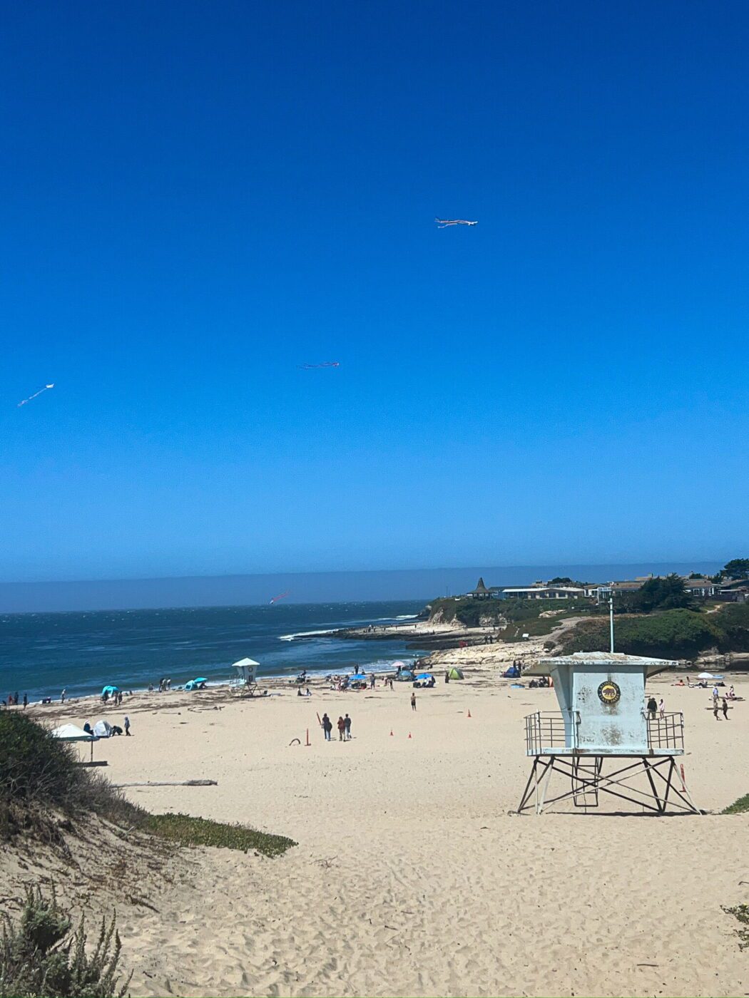 Natural Bridges State Park, Santa Cruz, California