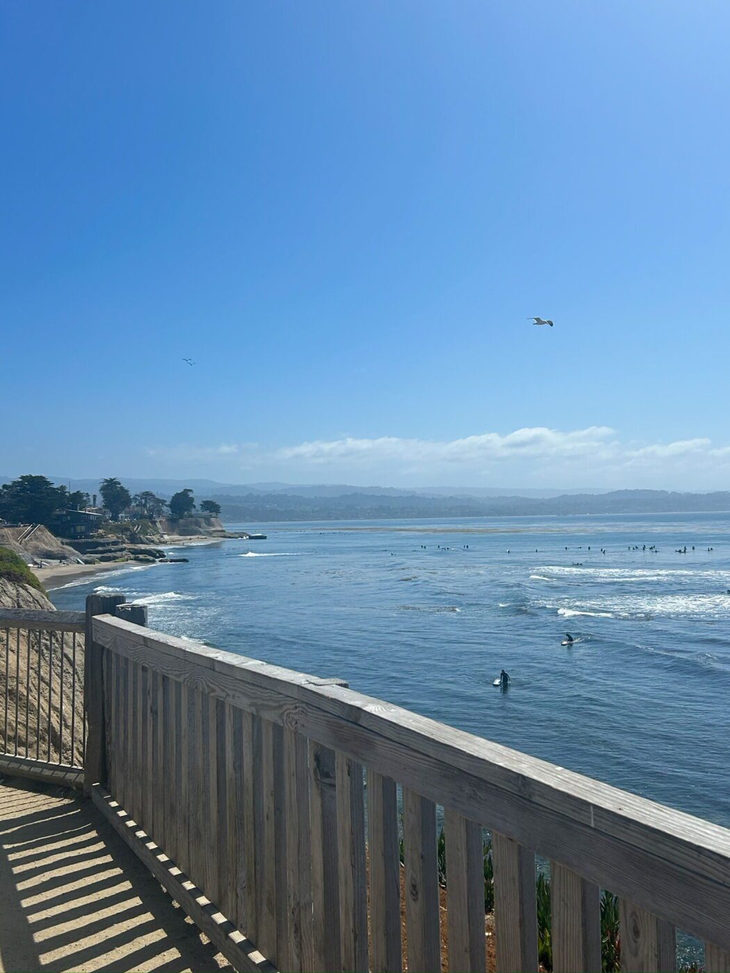 Pleasure Point, Santa Cruz, California